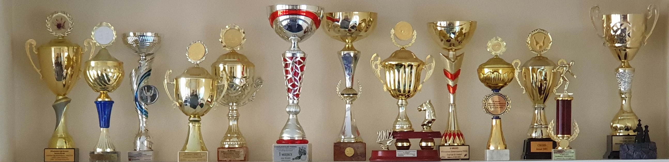 Puchary i trofea zdobyte przez klubowiczów IKAR